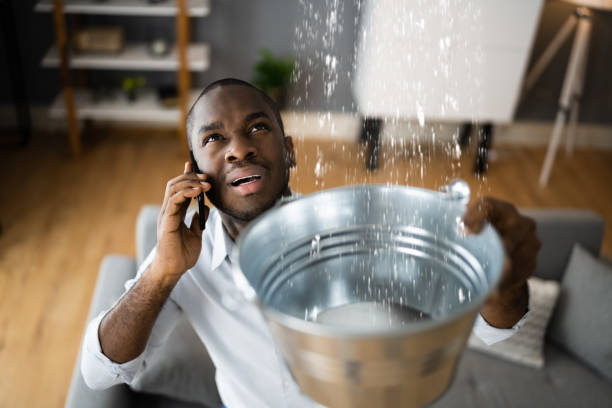 Best Mold removal after water damage  in Flence, OR