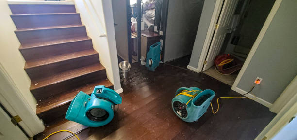 Best Water damage restoration near me  in Flence, OR