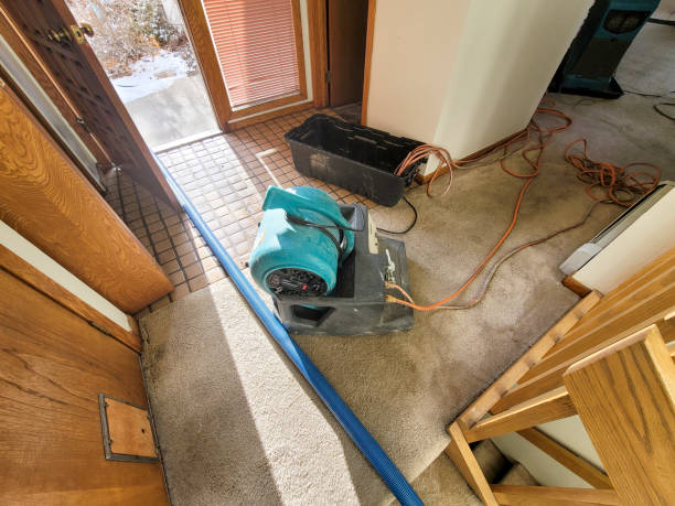 Best Water damage restoration specialists  in Flence, OR