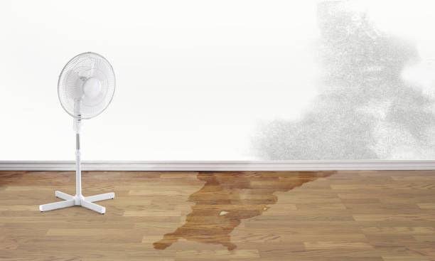 Best 24/7 water damage repair  in Flence, OR