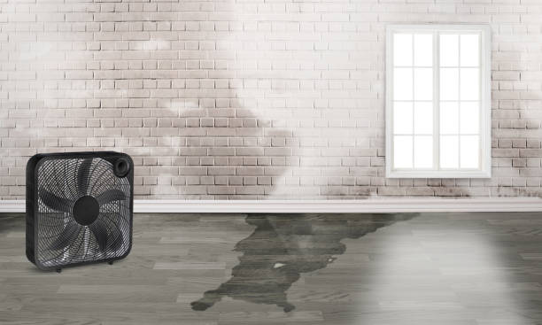 Best Water damage restoration cost  in Flence, OR