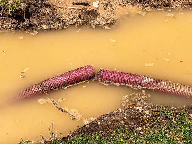 Best Water damage mitigation services  in Flence, OR